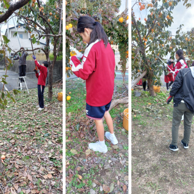 Express-collage (17)