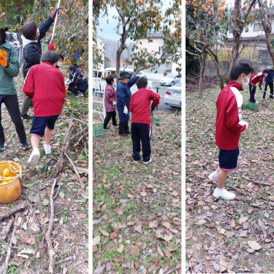 コラージュメーカー プロジェクト