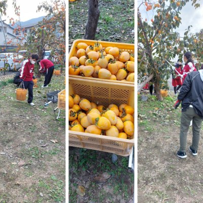 Express-collage (18)